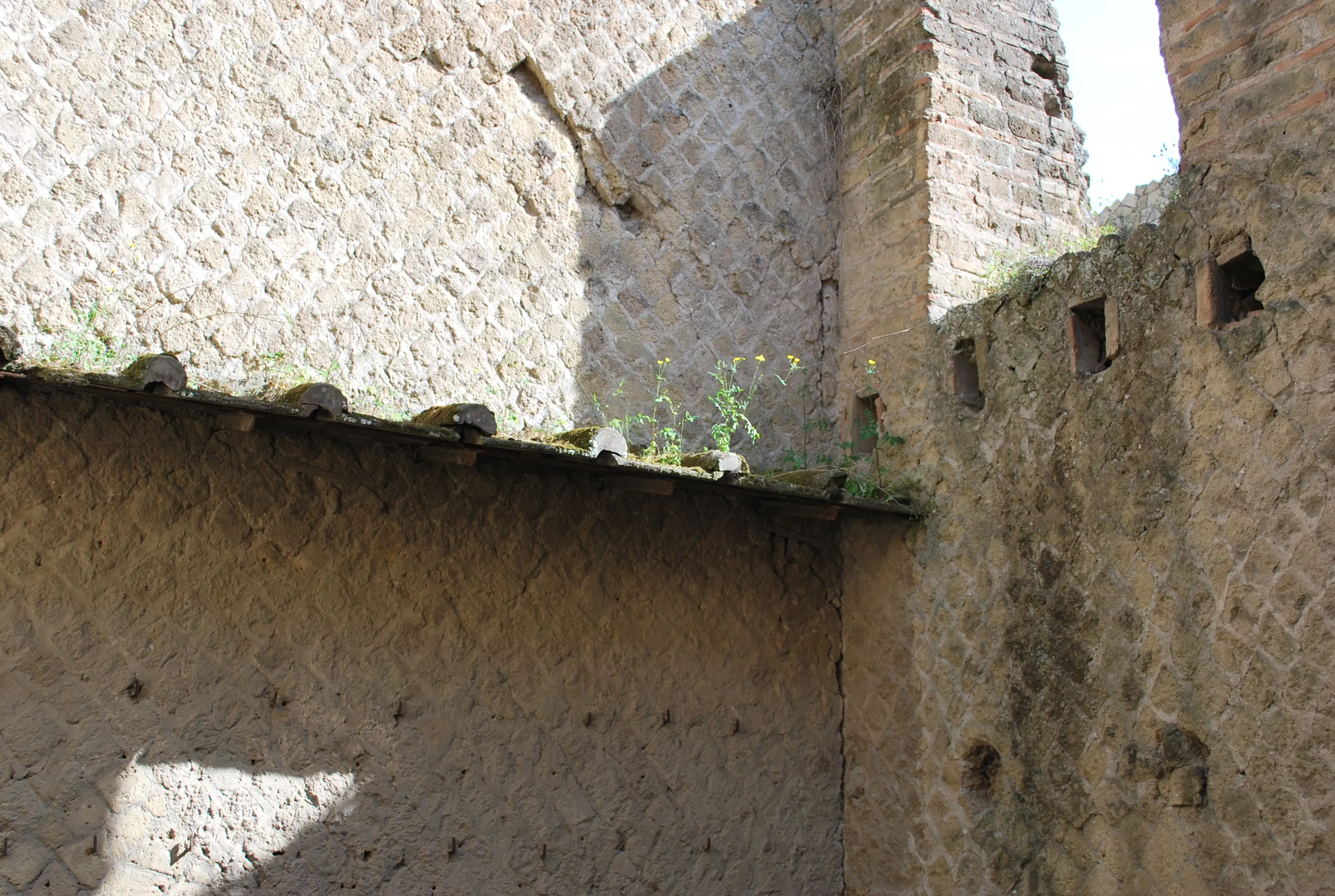 Herculaneum