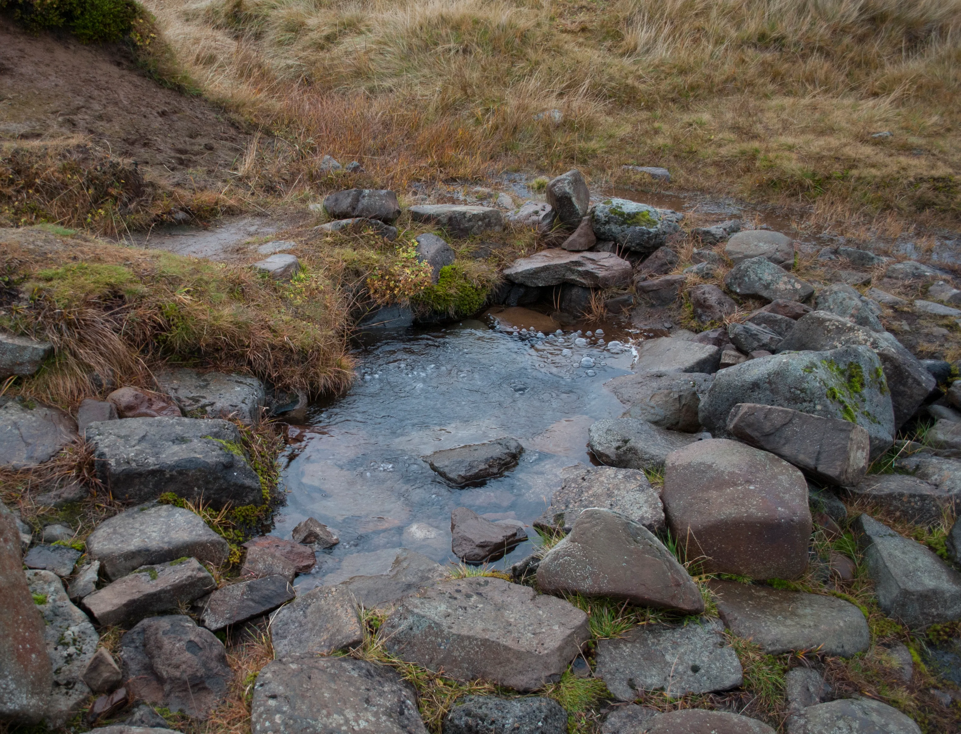 Carbonated spring