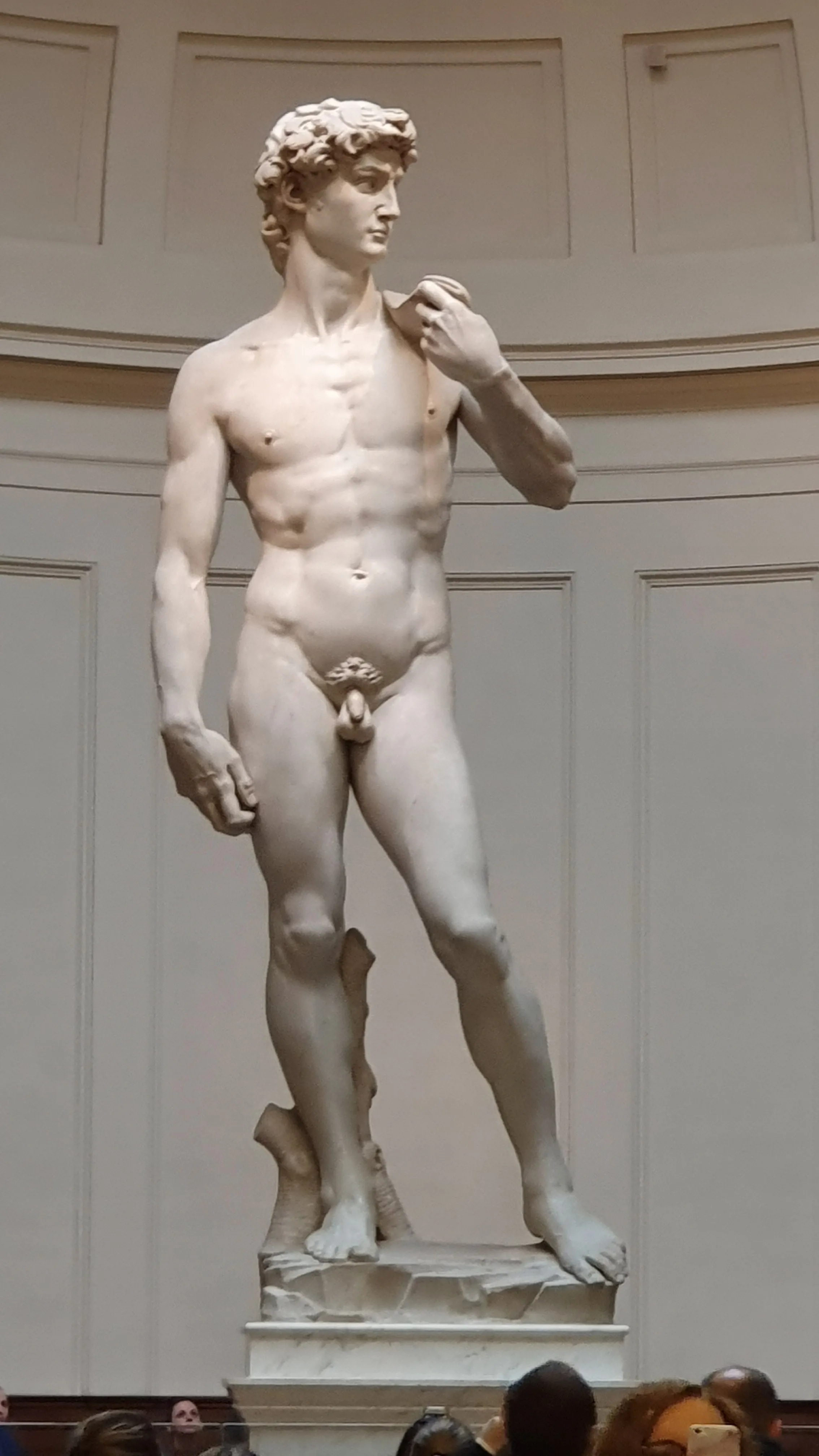 The David