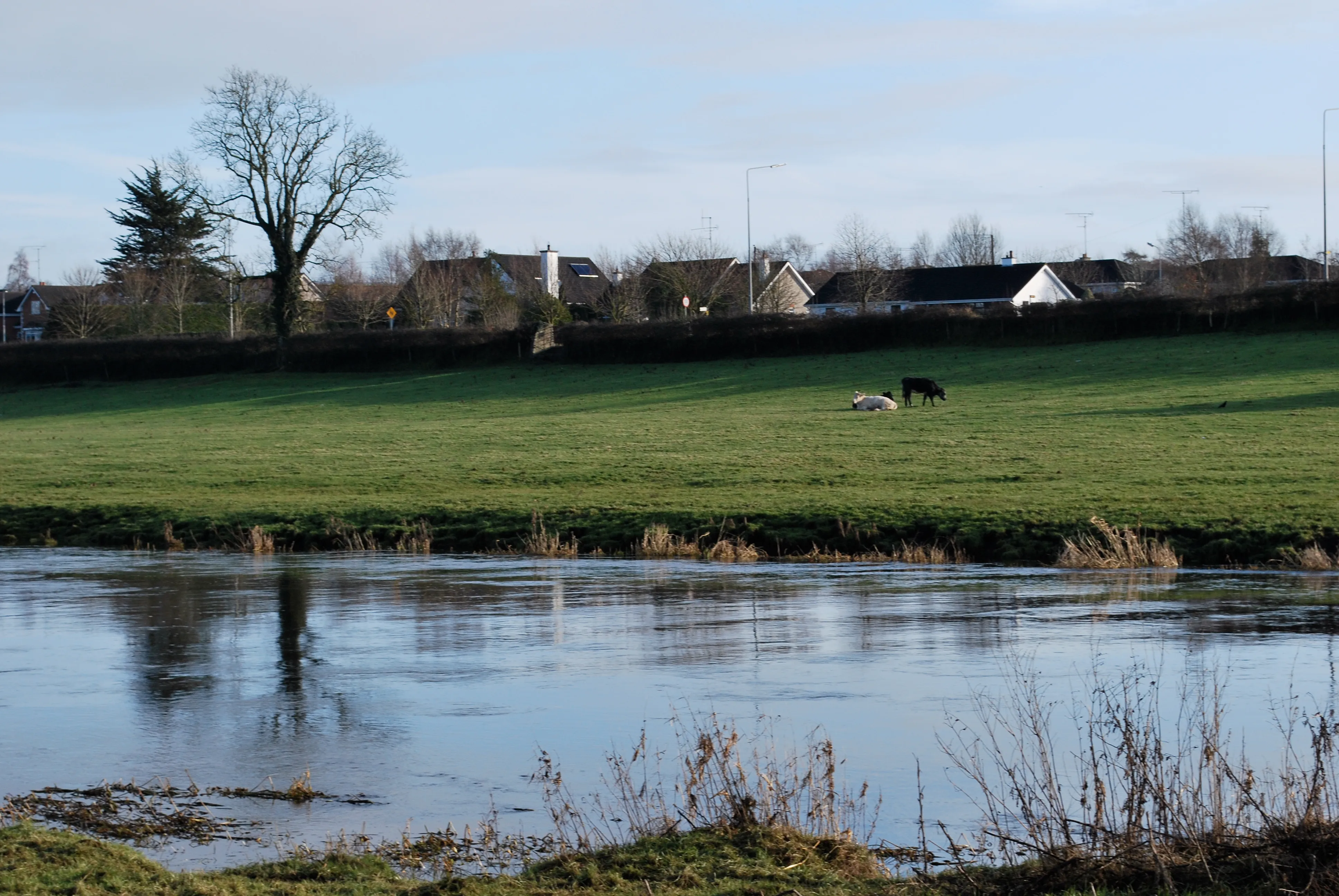 Countryside