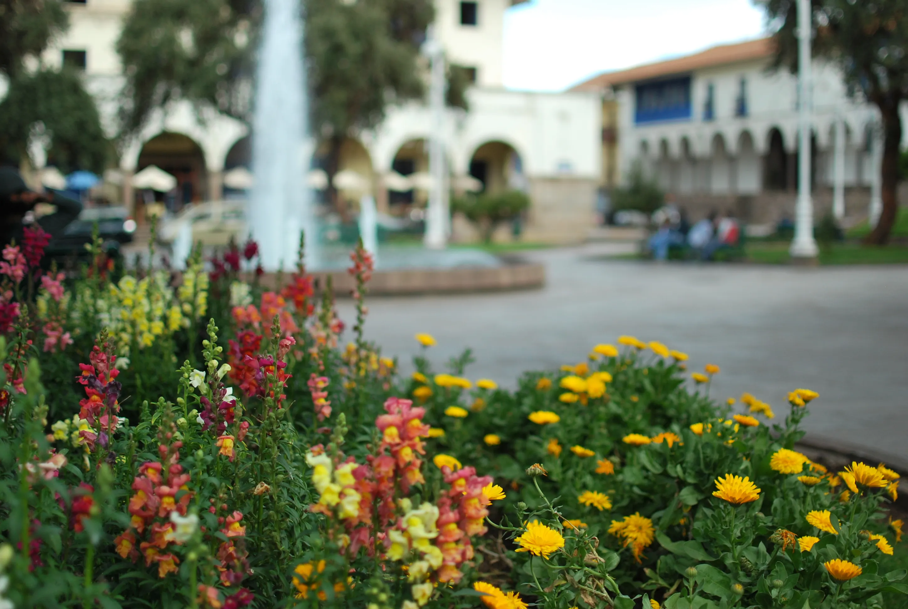 Cusco