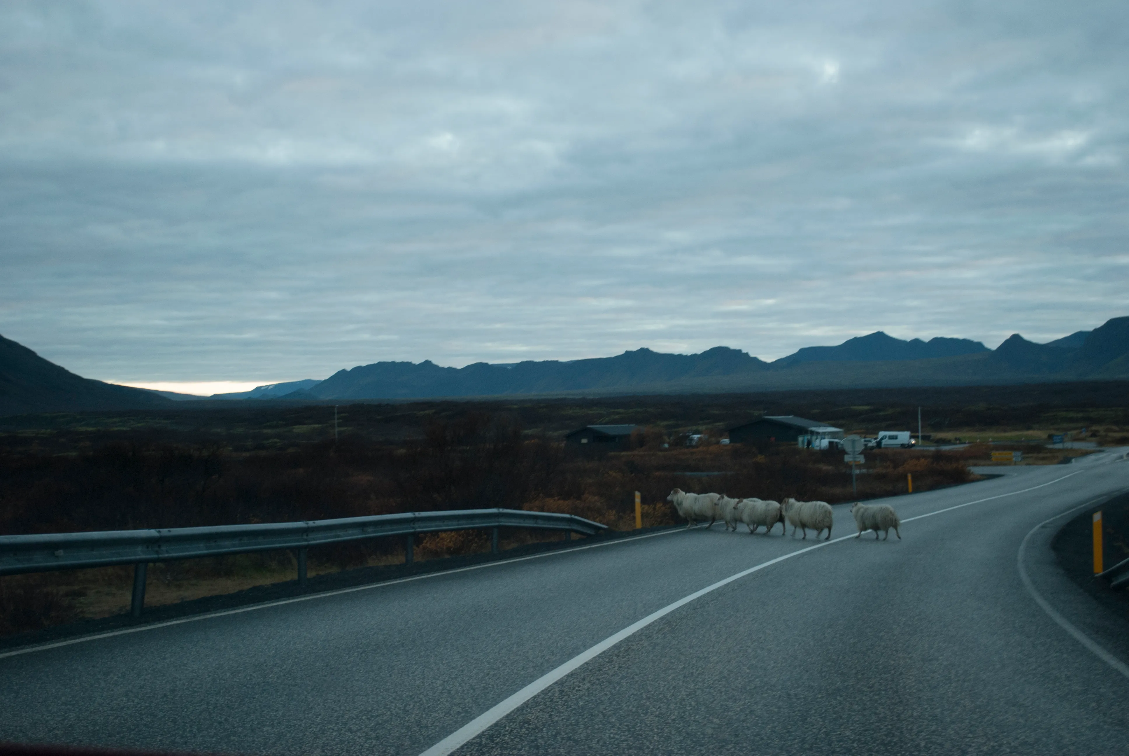Morning road