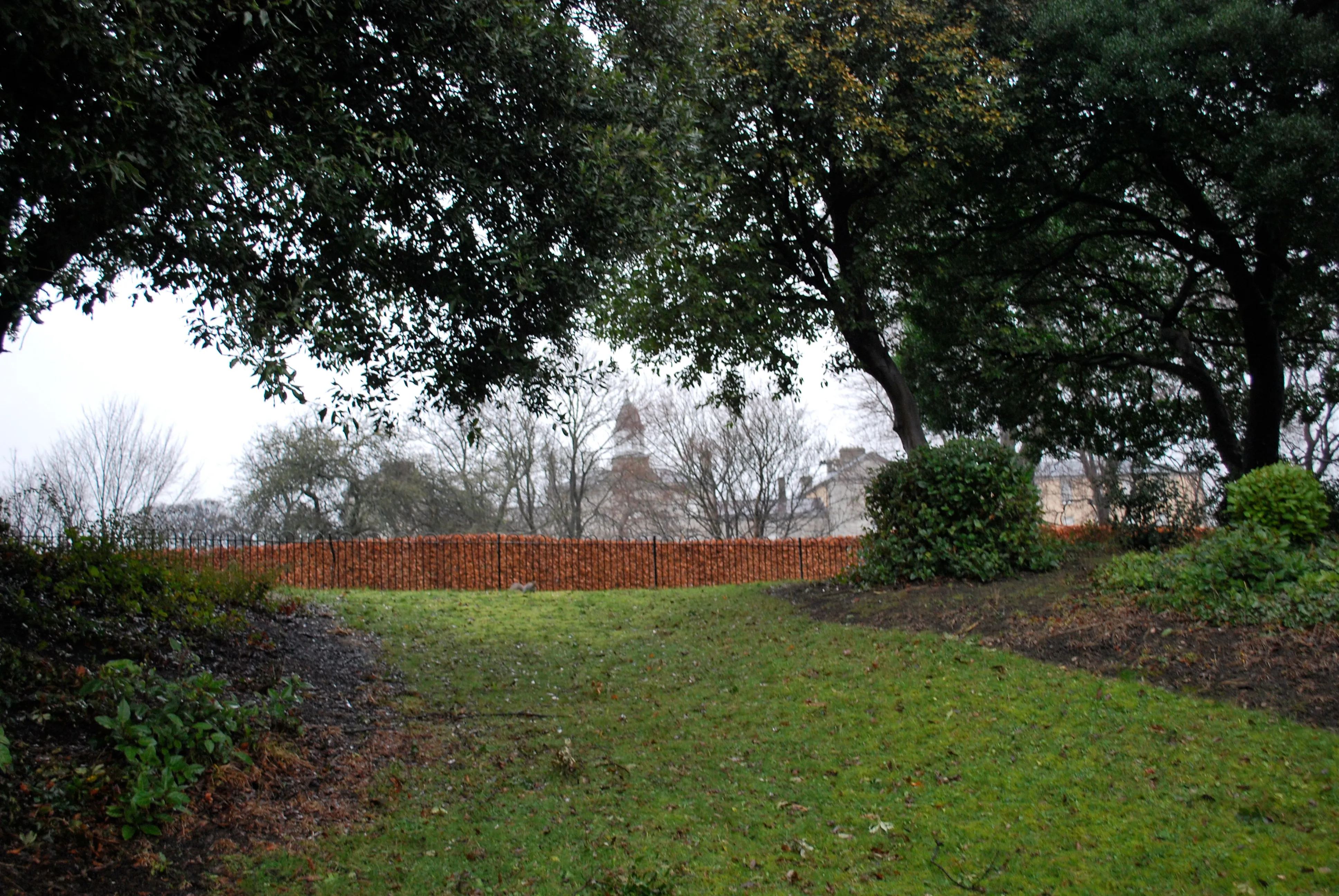 Phoenix park