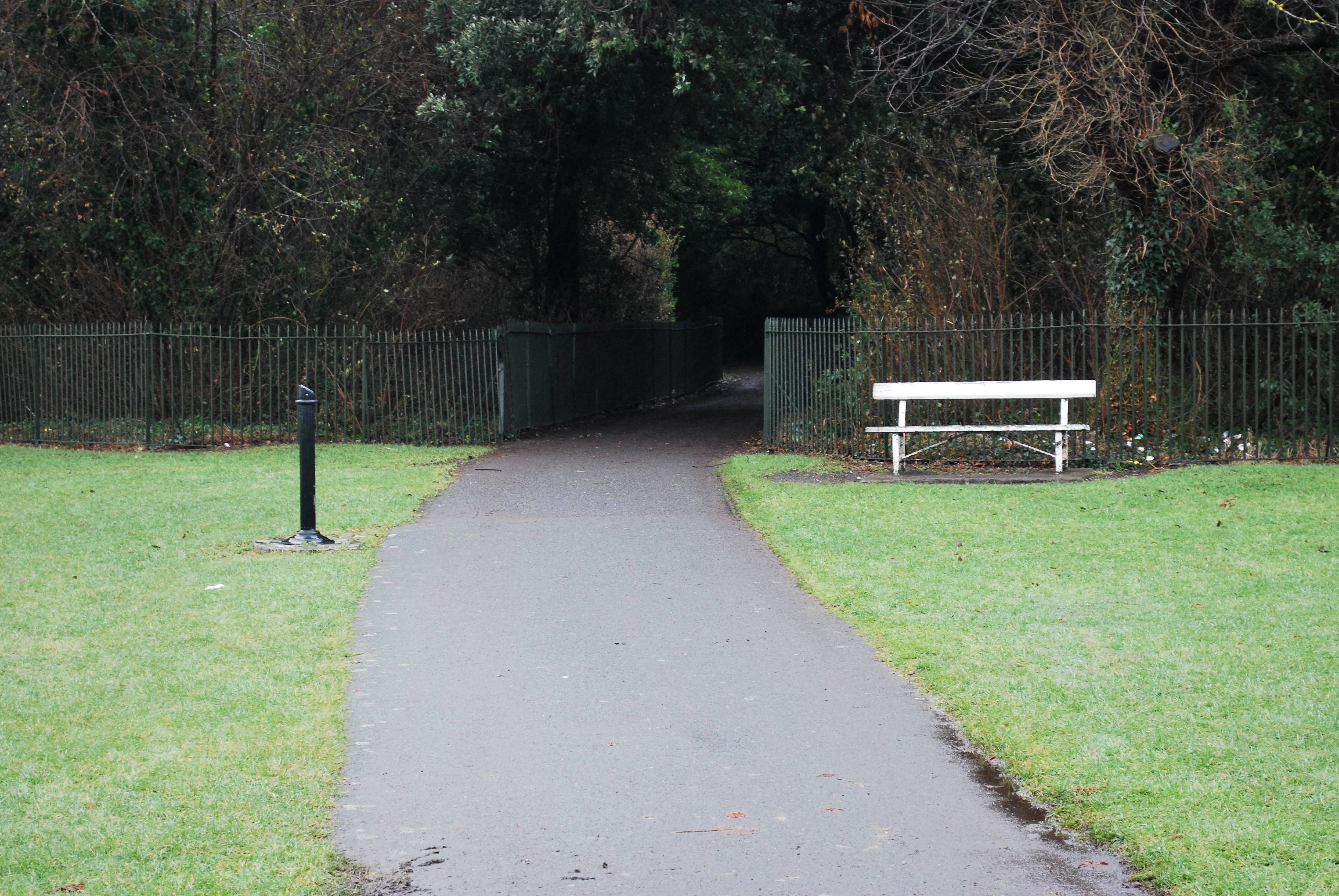 Phoenix park