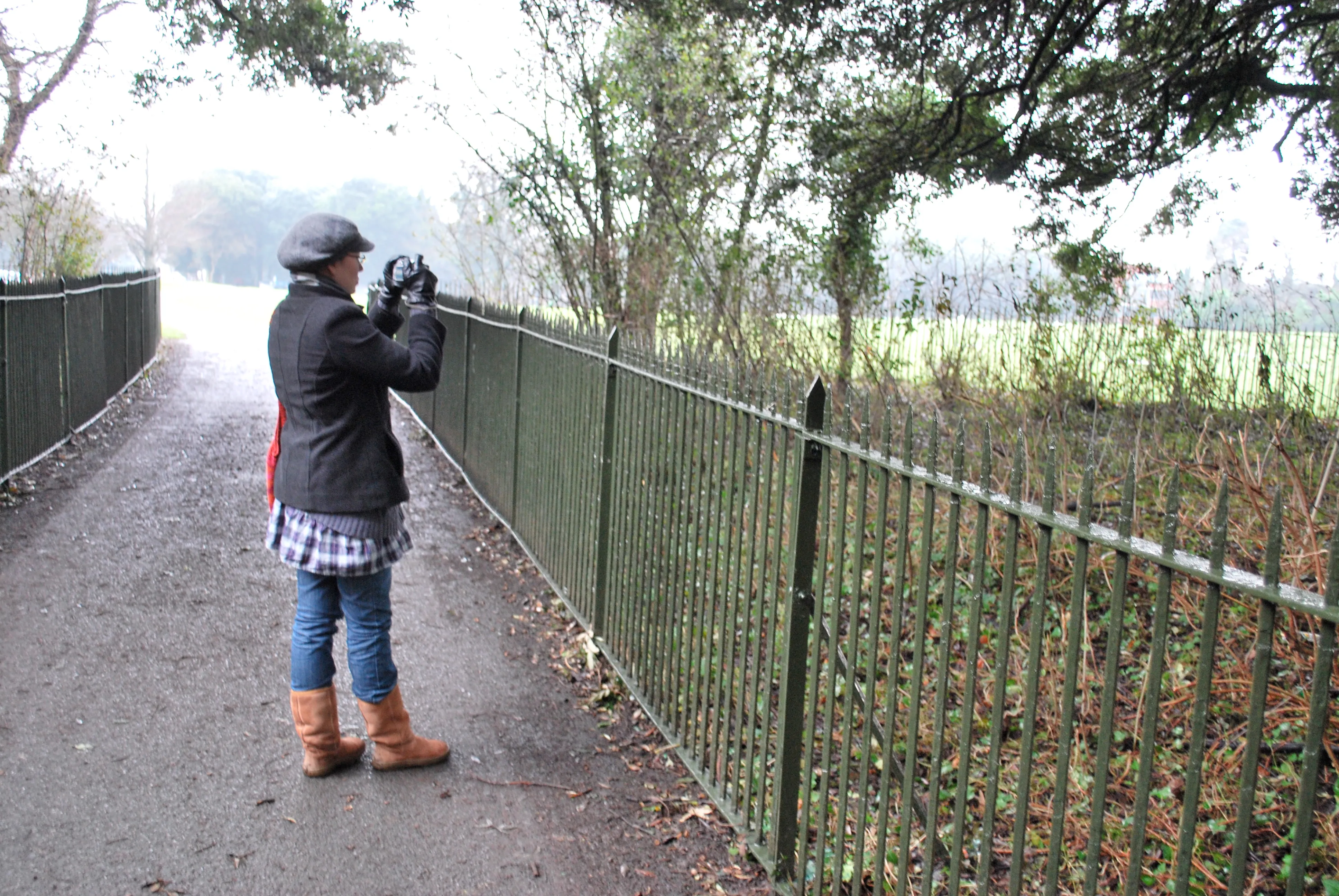 Phoenix park