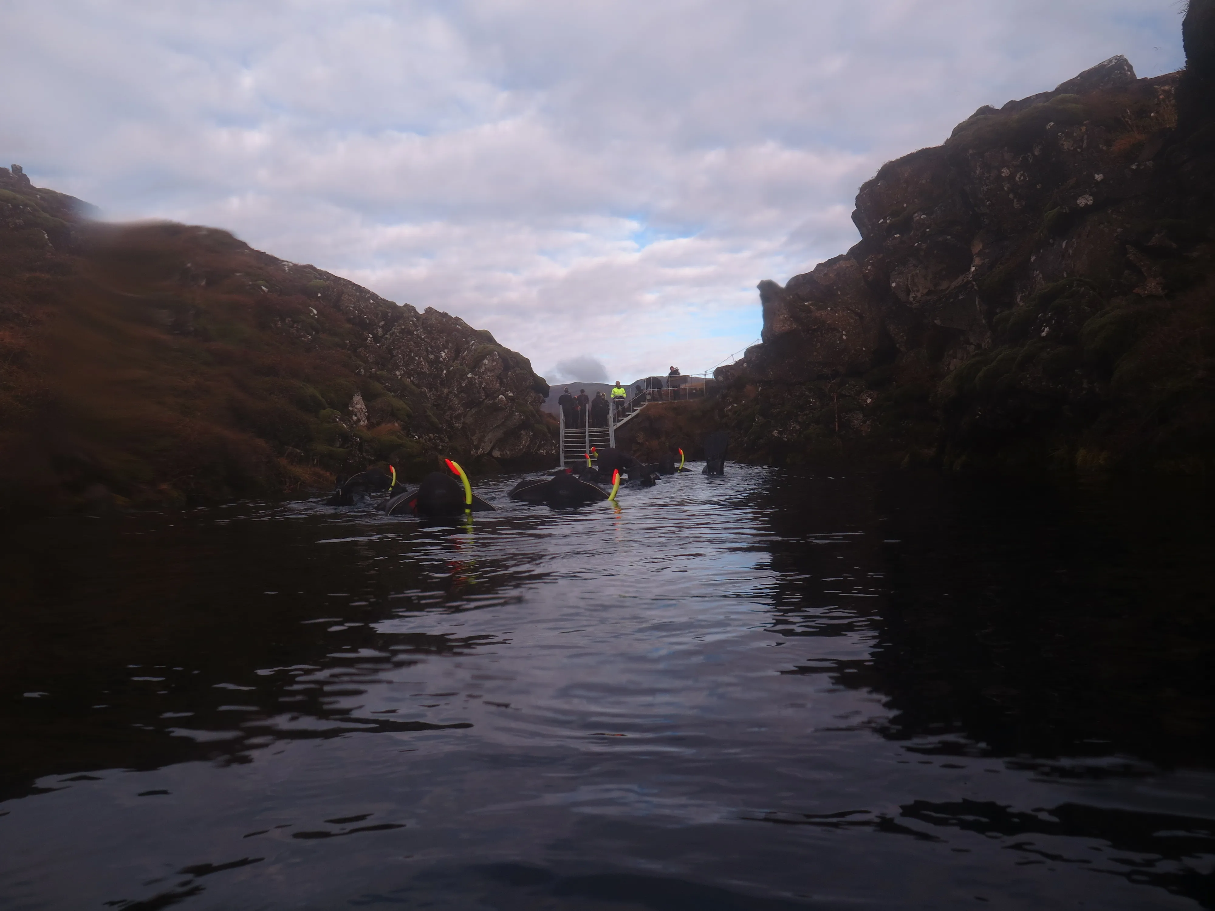 Snorkel photo