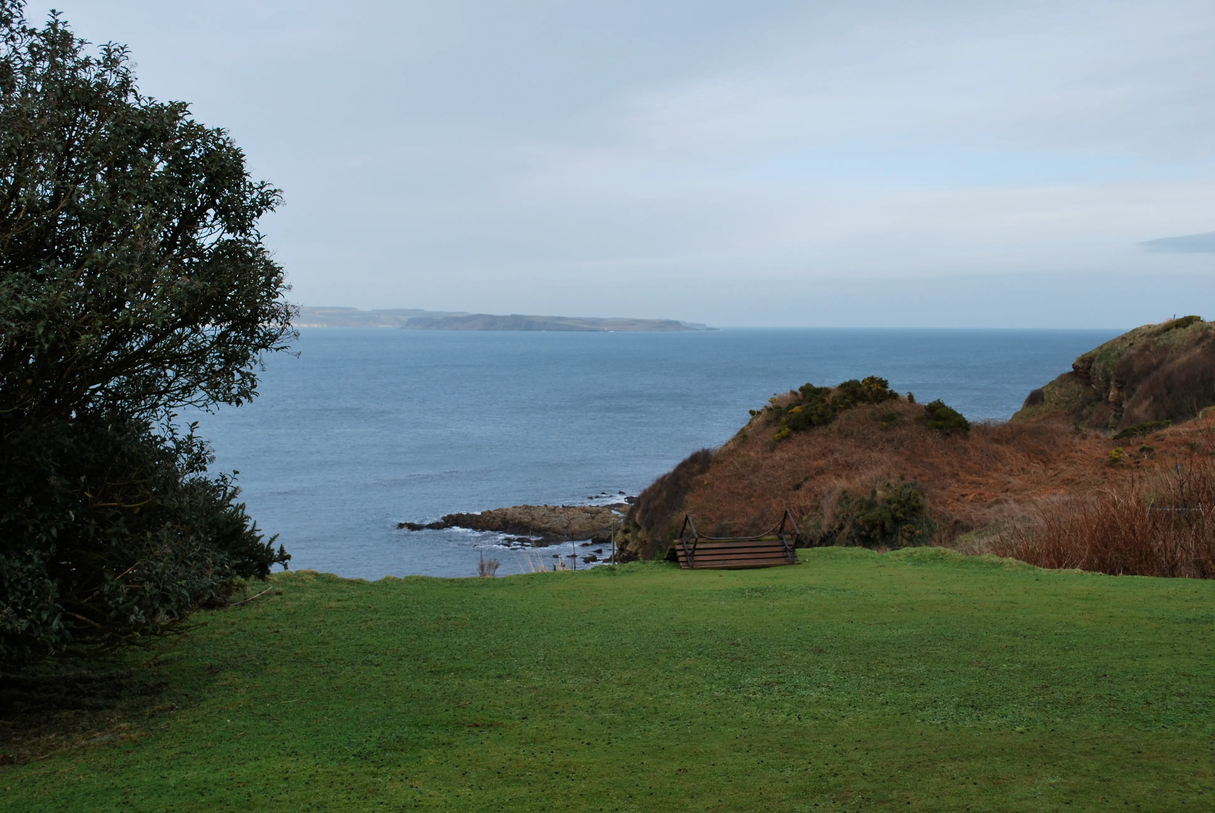 The coast
