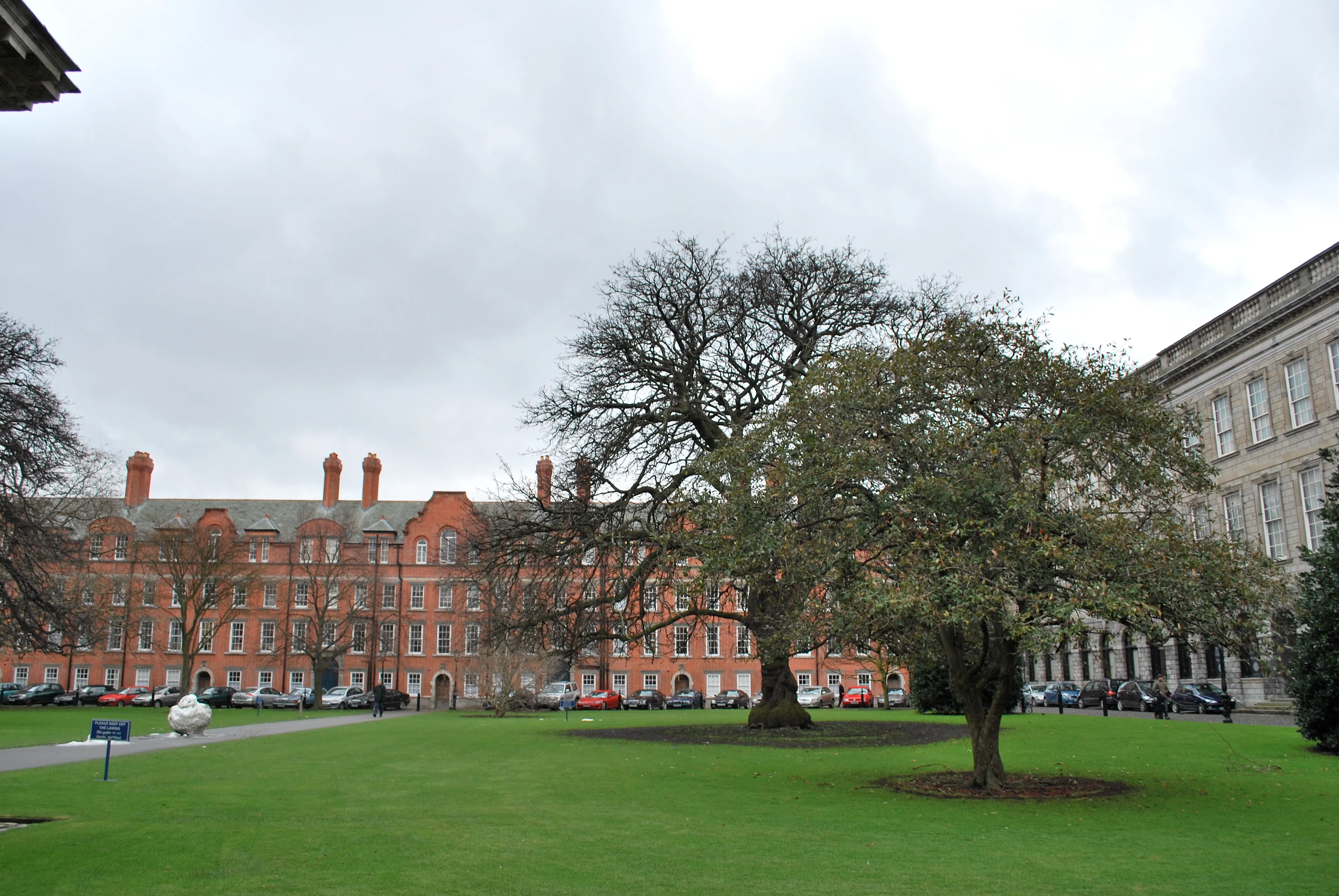 Trinity college